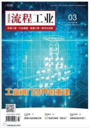 湛江吹响冲锋号 中科炼化点火成功 巴斯夫打桩开建 现场图集来袭